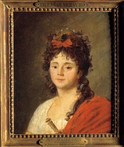 Peinture de Jean François Garneray