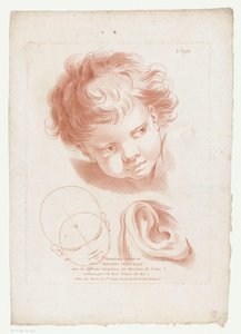 Tête et oreille d