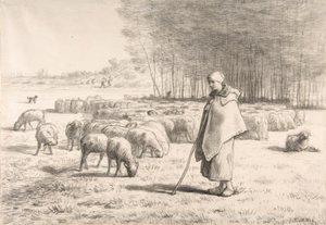Une bergère avec son troupeau