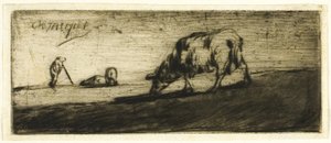 Un mouton broutant