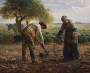 Planteurs de pommes de terre
