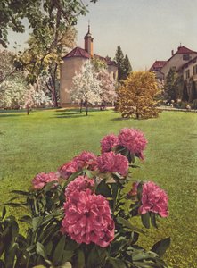 Suisse: Mammern sur le lac de Constance, dans les jardins du sanatorium