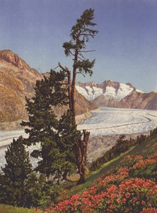 Suisse : Vue du glacier d