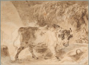 Taureau de la Campagne romaine - Jean Honore Fragonard