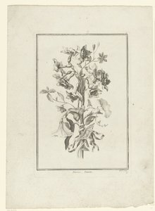Bouquet de narcisses et volubilis
