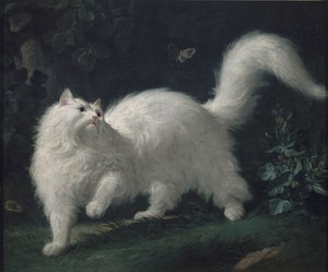 Chat angora chassant un papillon, vers 1760 - Jean Jacques Bachelier