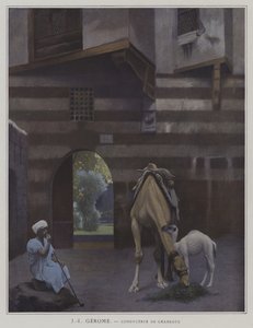Conducteur de Chameaux
