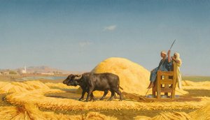 Les batteurs de grain, Égypte