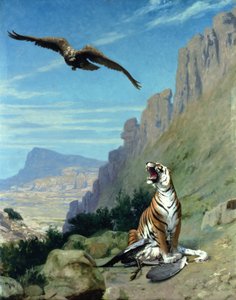 Tigre et vautour