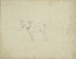Cheval de trait
