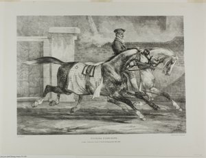 Chevaux à l