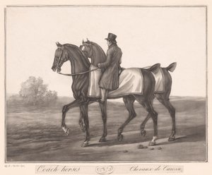 Ruiter accompagne deux chevaux - Jean Louis Darcis (attributed to)