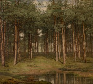 Bois de Sapins à Putte