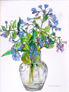 Cloches bleues de Virginie dans un vase à col étroit, 2006 (aquarelle et encre sur papier)