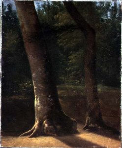 Étude d