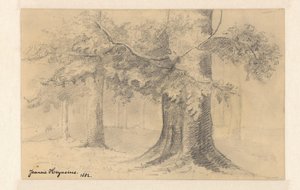 Paysage avec des arbres