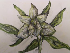 Orchidée verte - Jeannette Stein