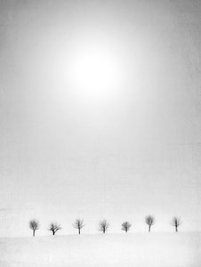  - Jeffrey Hummel