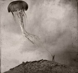  - Jeffrey Hummel