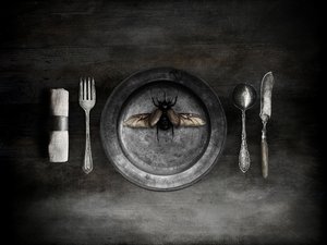 Un repas à base de coléoptères qui dérange - Jeffrey Hummel