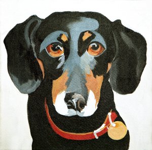 Buster, 2012 (acrylique sur toile)