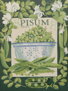 Pisum, Pois (acrylique) - Jennifer Abbott