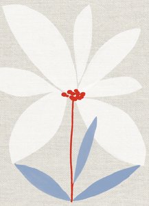 Marguerite imprimée