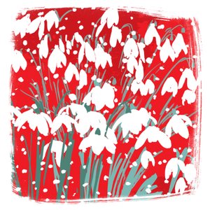 Perce-neige - Jenny Frean