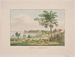 Vue de Bellevue
