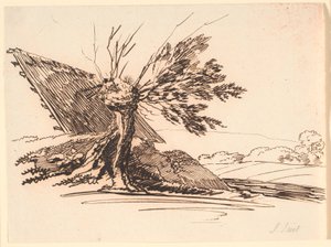 Un vieux saule taillé et la moitié d