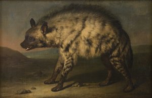La hyène dans la ménagerie au château de Frederiksberg - Jens Juel