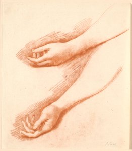 Deux études du bras gauche d