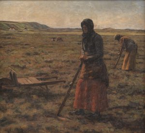 Femmes coupant de la bruyère