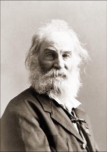 Portrait de Walt Whitman (1819 - 1892) par Gurney entre 1880 et 1890