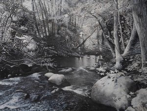 Paysages fluviaux, 2024 (huile sur toile) - Jerome Glomaud