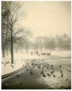 Boston Common, Boston, USA, c.1902-10 - Jessie Tarbox Beals