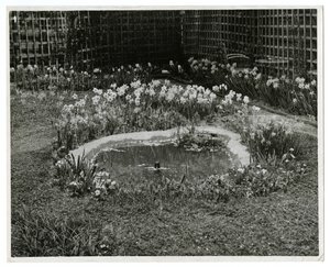 Jardin de M. et Mme Wm H Wells, 265 W 11th St, New York, USA - Jessie Tarbox Beals