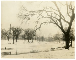 The Common, Boston, USA, vers 1902-10