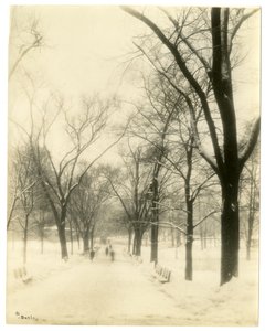 The Common, Boston, USA, vers 1902-10