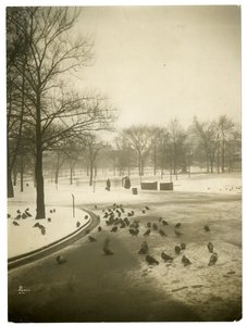 Un froid inhabituel dans le Common, Boston, USA, vers 1902-10