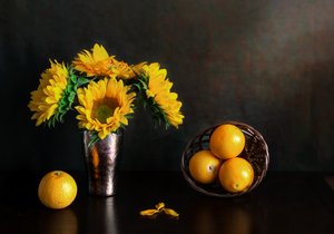  - Jie Fischer