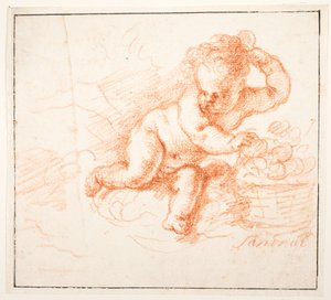 Putti ramassant des fruits