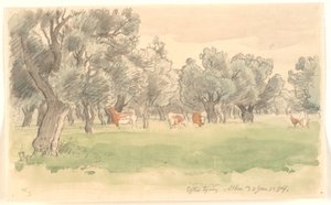 Paysage grec avec oliviers et bétail paissant - Joakim Frederik Skovgaard