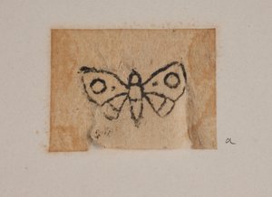 Insecte