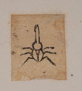 Insecte
