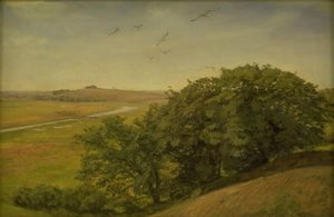 Paysage avec des arbres sur une pente