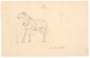 Trois études d
