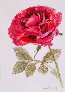 Une rose rouge, 2000