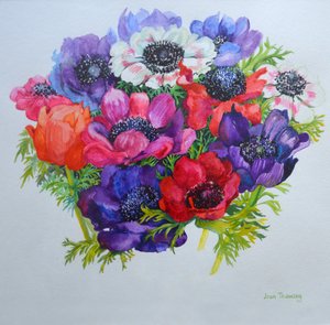 Anémones : rouge, blanc, rose et violet, 2000