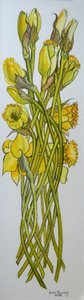 Jonquilles